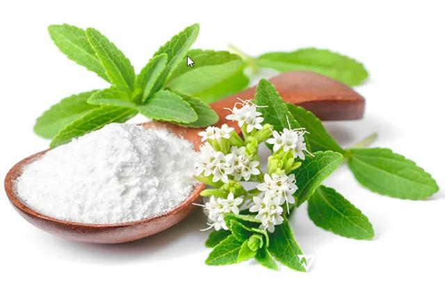 <p>Manisnya 300 Kali Gula, Ini 5 Manfaat Konsumsi Stevia Bagi Kesehatan, Cermati juga Batasannya<p>