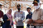 <p>Nagari Tageh di Solok Selatan Sukses Panen Ayam Broiler<p>