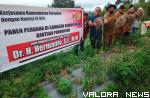 <p>Hermanto Panen Bawang Merah bersama Petani Tanah Datar<p>