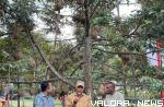 <p>Panen Berlimpah, Mahyeldi: Diperlukan Hilirisasi Produk Berbahan Durian untuk Tingkatkan Pendapatan<p>