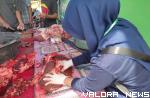 <p>260 Hewan Kurban Disembelih di 41 Lokasi di Padang Panjang, Cacing Hati Ditelisik<p>